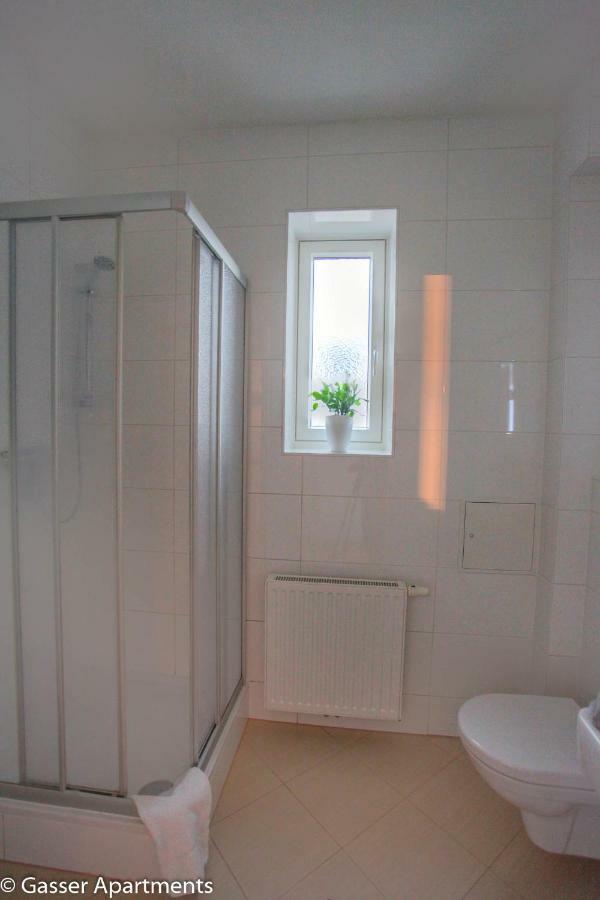 Gasser Apartments - Apartments Karlskirche Wien Ngoại thất bức ảnh